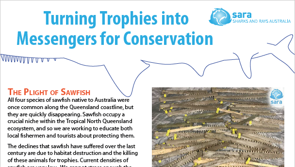 Turning trophies into messengers for conservation